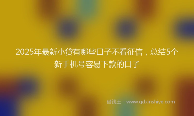 2025年最新小贷有哪些口子不看征信，总结5个新手机号容易下款的口子