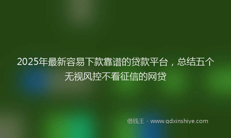 2025年最新容易下款靠谱的贷款平台，总结五个无视风控不看征信的网贷