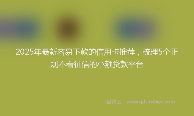 2025年最新容易下款的信用卡推荐，梳理5个正规不看征信的小额贷款平台