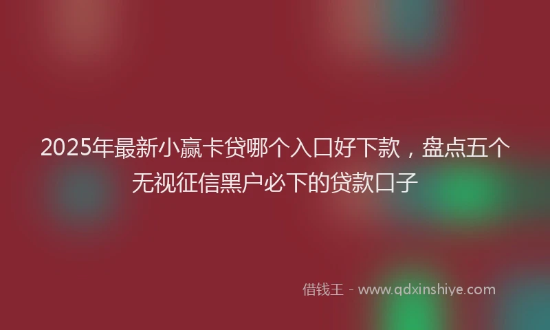 2025年最新小赢卡贷哪个入口好下款，盘点五个无视征信黑户必下的贷款口子
