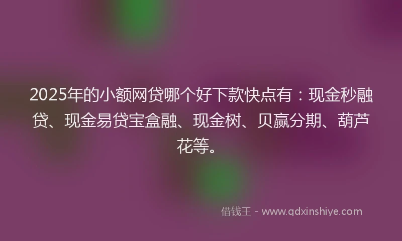2025年的小额网贷哪个好下款快点有：现金秒融贷、现金易贷宝盒融、现金树、贝赢分期、葫芦花等。