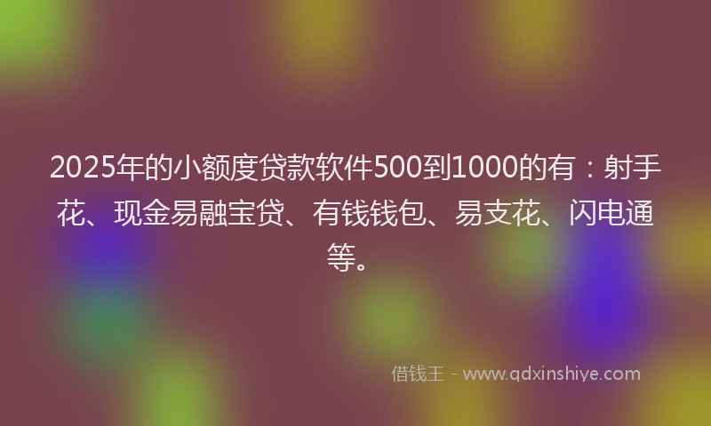 2025年的小额度贷款软件500到1000的有：射手花、现金易融宝贷、有钱钱包、易支花、闪电通等。