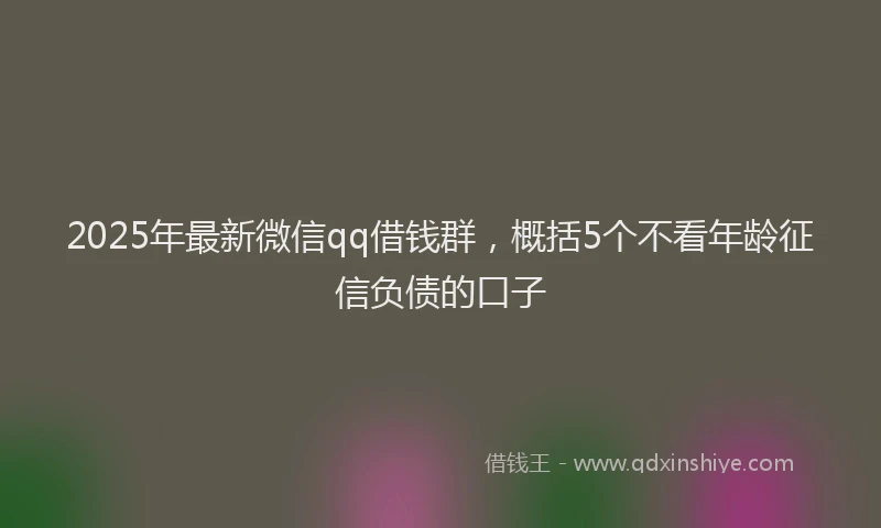 2025年最新微信qq借钱群，概括5个不看年龄征信负债的口子