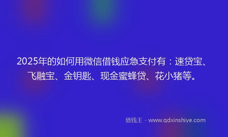2025年的如何用微信借钱应急支付有：速贷宝、飞融宝、金钥匙、现金蜜蜂贷、花小猪等。