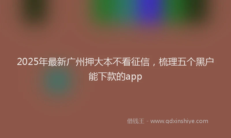 2025年最新广州押大本不看征信，梳理五个黑户能下款的app