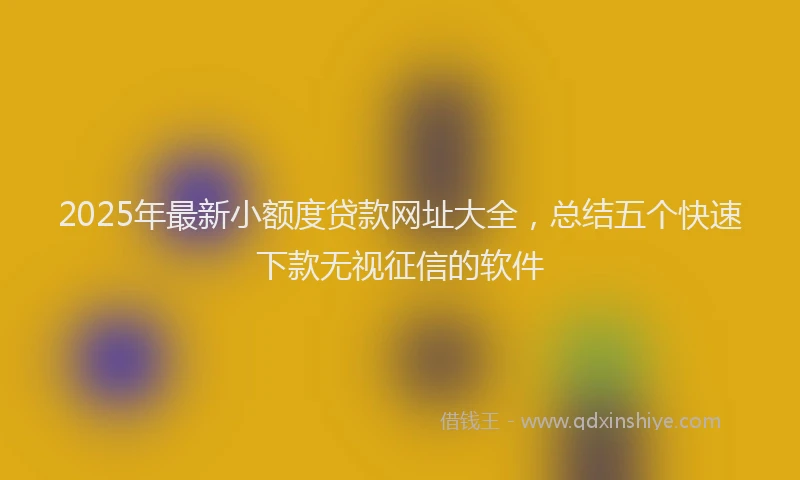 2025年最新小额度贷款网址大全，总结五个快速下款无视征信的软件