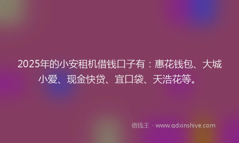 2025年的小安租机借钱口子有：惠花钱包、大城小爱、现金快贷、宜口袋、天浩花等。