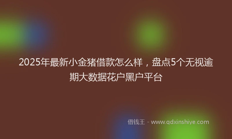 2025年最新小金猪借款怎么样，盘点5个无视逾期大数据花户黑户平台