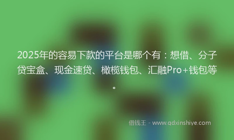 2025年的容易下款的平台是哪个有：想借、分子贷宝盒、现金速贷、橄榄钱包、汇融Pro+钱包等。