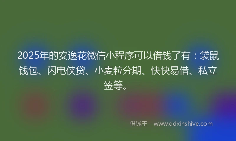 2025年的安逸花微信小程序可以借钱了有：袋鼠钱包、闪电侠贷、小麦粒分期、快快易借、私立签等。