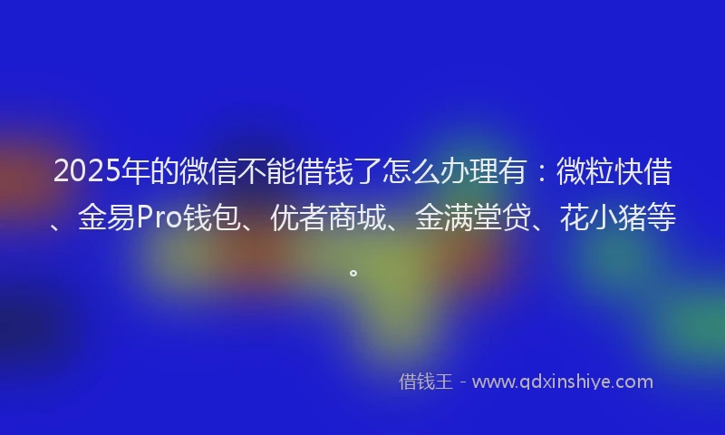 2025年的微信不能借钱了怎么办理有：微粒快借、金易Pro钱包、优者商城、金满堂贷、花小猪等。