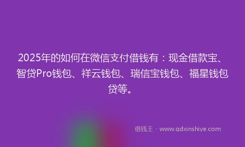 2025年的如何在微信支付借钱有：现金借款宝、智贷Pro钱包、祥云钱包、瑞信宝钱包、福星钱包贷等。