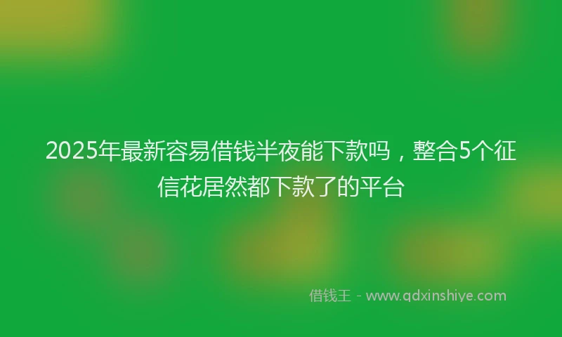 2025年最新容易借钱半夜能下款吗，整合5个征信花居然都下款了的平台