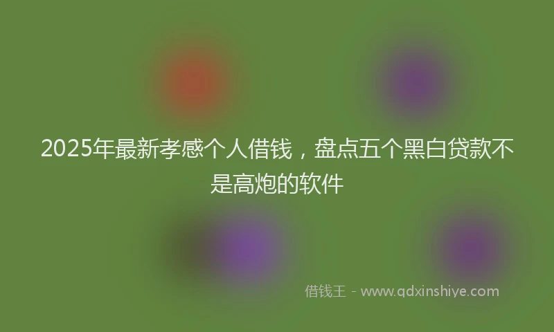 2025年最新孝感个人借钱，盘点五个黑白贷款不是高炮的软件
