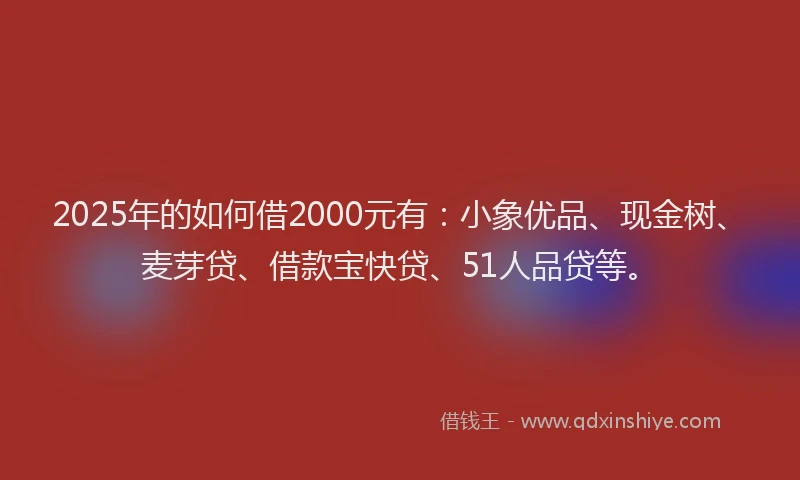 2025年的如何借2000元有：小象优品、现金树、麦芽贷、借款宝快贷、51人品贷等。