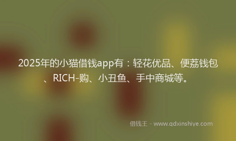 2025年的小猫借钱app有：轻花优品、便荔钱包、RICH-购、小丑鱼、手中商城等。