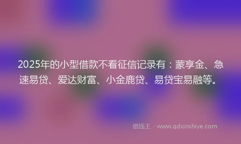 2025年的小型借款不看征信记录有：蒙享金、急速易贷、爱达财富、小金鹿贷、易贷宝易融等。