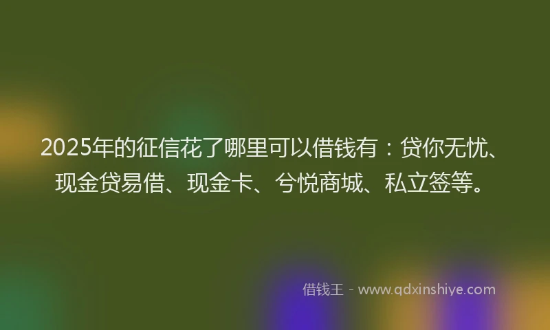 2025年的征信花了哪里可以借钱有：贷你无忧、现金贷易借、现金卡、兮悦商城、私立签等。