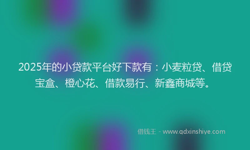 2025年的小贷款平台好下款有：小麦粒贷、借贷宝盒、橙心花、借款易行、新鑫商城等。