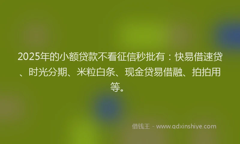 2025年的小额贷款不看征信秒批有：快易借速贷、时光分期、米粒白条、现金贷易借融、拍拍用等。
