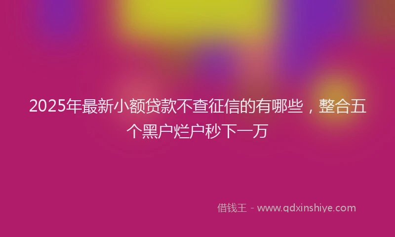 2025年最新小额贷款不查征信的有哪些，整合五个黑户烂户秒下一万