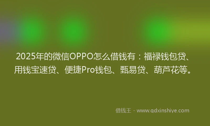 2025年的微信OPPO怎么借钱有：福禄钱包贷、用钱宝速贷、便捷Pro钱包、甄易贷、葫芦花等。
