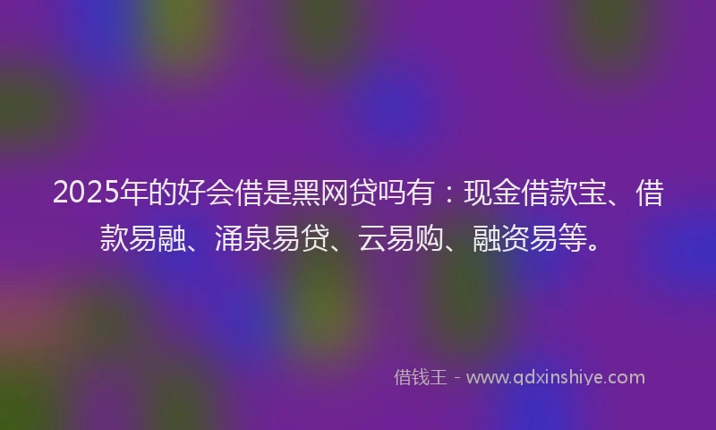 2025年的好会借是黑网贷吗有：现金借款宝、借款易融、涌泉易贷、云易购、融资易等。