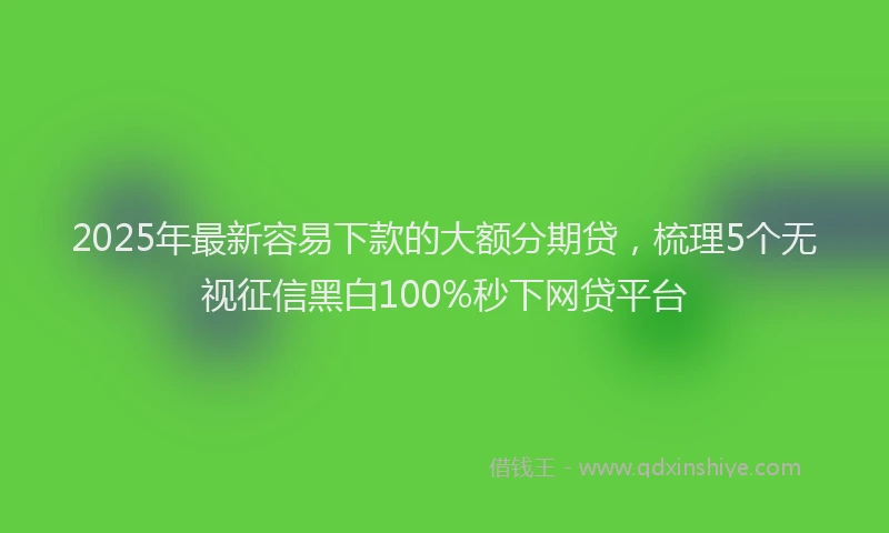 2025年最新容易下款的大额分期贷，梳理5个无视征信黑白100%秒下网贷平台