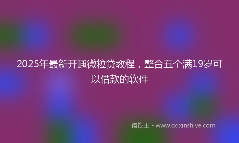 2025年最新开通微粒贷教程，整合五个满19岁可以借款的软件