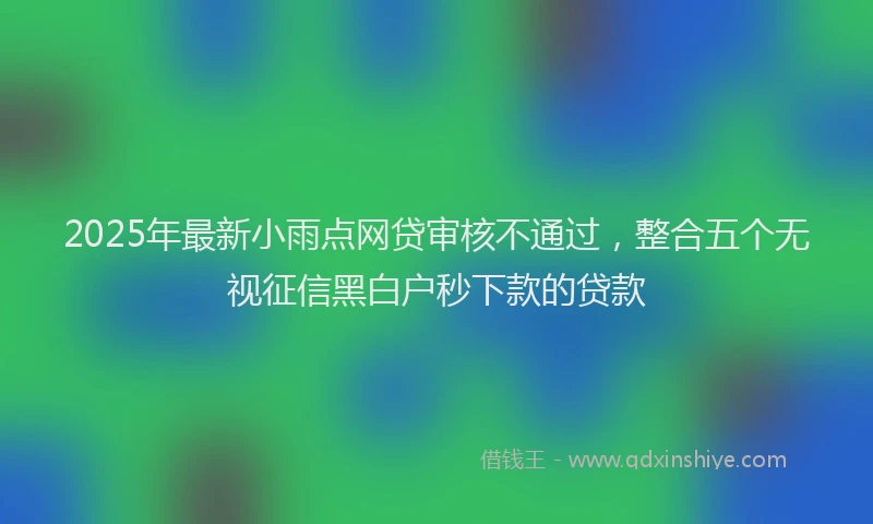 2025年最新小雨点网贷审核不通过，整合五个无视征信黑白户秒下款的贷款