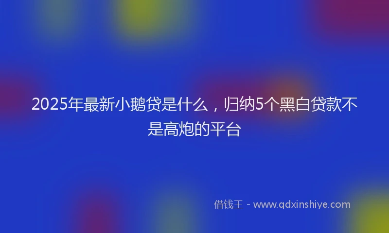 2025年最新小鹅贷是什么，归纳5个黑白贷款不是高炮的平台