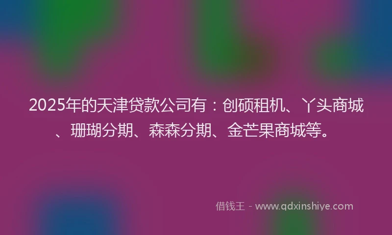 2025年的天津贷款公司有：创硕租机、丫头商城、珊瑚分期、森森分期、金芒果商城等。