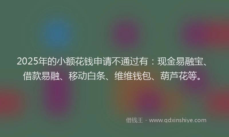 2025年的小额花钱申请不通过有：现金易融宝、借款易融、移动白条、维维钱包、葫芦花等。