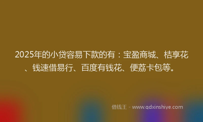 2025年的小贷容易下款的有：宝盈商城、桔享花、钱速借易行、百度有钱花、便荔卡包等。