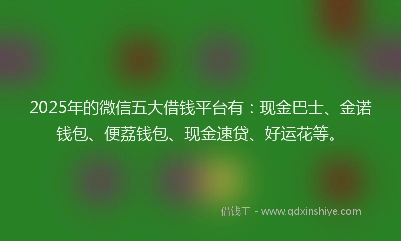 2025年的微信五大借钱平台有：现金巴士、金诺钱包、便荔钱包、现金速贷、好运花等。