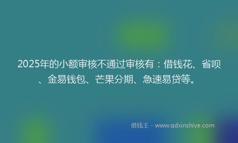 2025年的小额审核不通过审核有：借钱花、省呗、金易钱包、芒果分期、急速易贷等。