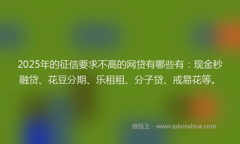 2025年的征信要求不高的网贷有哪些有：现金秒融贷、花豆分期、乐租租、分子贷、戒易花等。