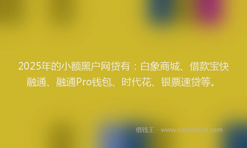 2025年的小额黑户网贷有：白象商城、借款宝快融通、融通Pro钱包、时代花、银票速贷等。