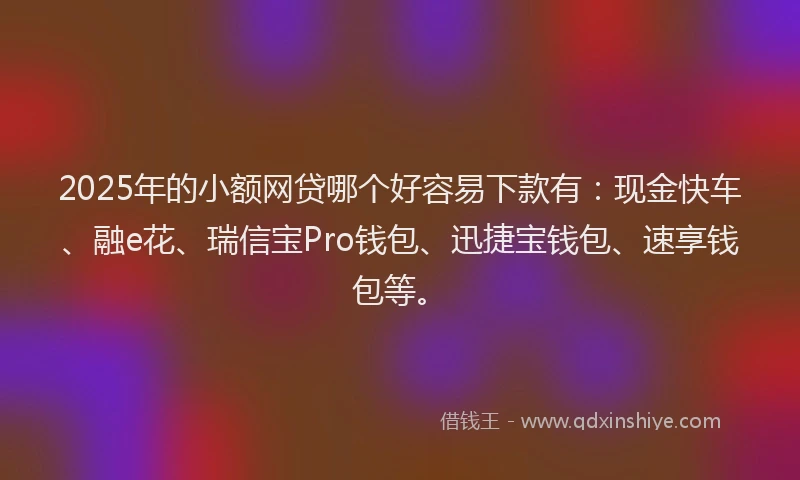 2025年的小额网贷哪个好容易下款有：现金快车、融e花、瑞信宝Pro钱包、迅捷宝钱包、速享钱包等。