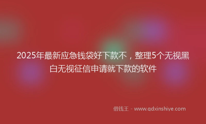 2025年最新应急钱袋好下款不，整理5个无视黑白无视征信申请就下款的软件