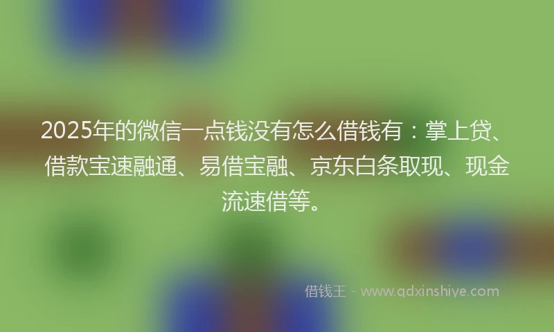 2025年的微信一点钱没有怎么借钱有：掌上贷、借款宝速融通、易借宝融、京东白条取现、现金流速借等。