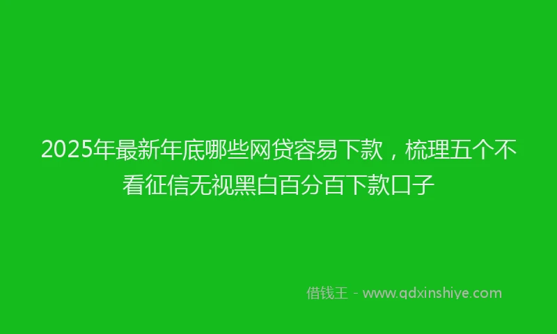 2025年最新年底哪些网贷容易下款，梳理五个不看征信无视黑白百分百下款口子