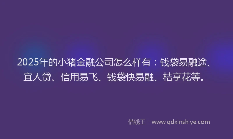 2025年的小猪金融公司怎么样有：钱袋易融途、宜人贷、信用易飞、钱袋快易融、桔享花等。