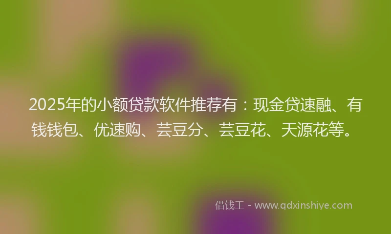 2025年的小额贷款软件推荐有：现金贷速融、有钱钱包、优速购、芸豆分、芸豆花、天源花等。
