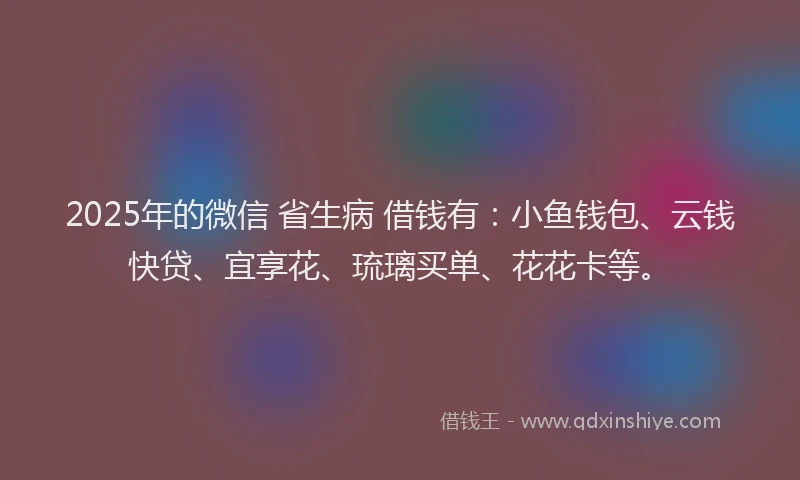 2025年的微信 省生病 借钱有：小鱼钱包、云钱快贷、宜享花、琉璃买单、花花卡等。