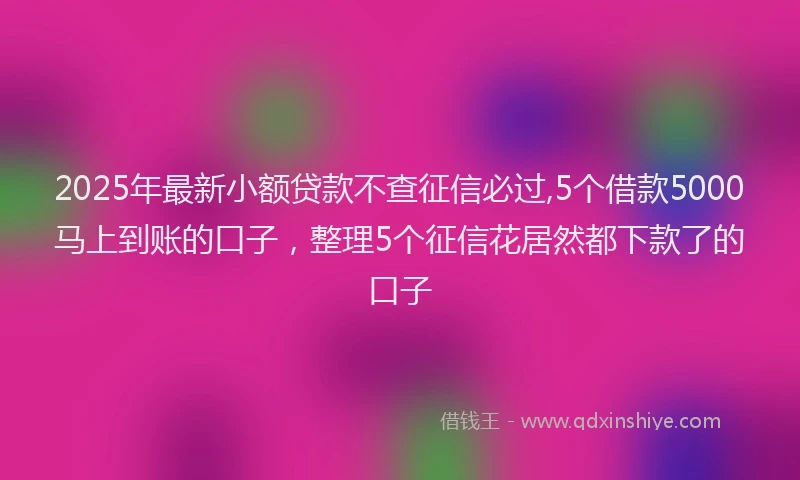 2025年最新小额贷款不查征信必过,5个借款5000马上到账的口子，整理5个征信花居然都下款了的口子
