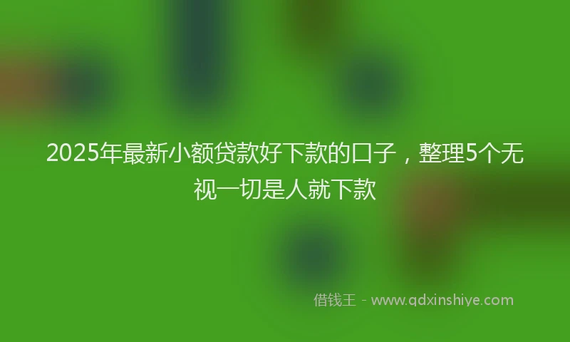 2025年最新小额贷款好下款的口子，整理5个无视一切是人就下款