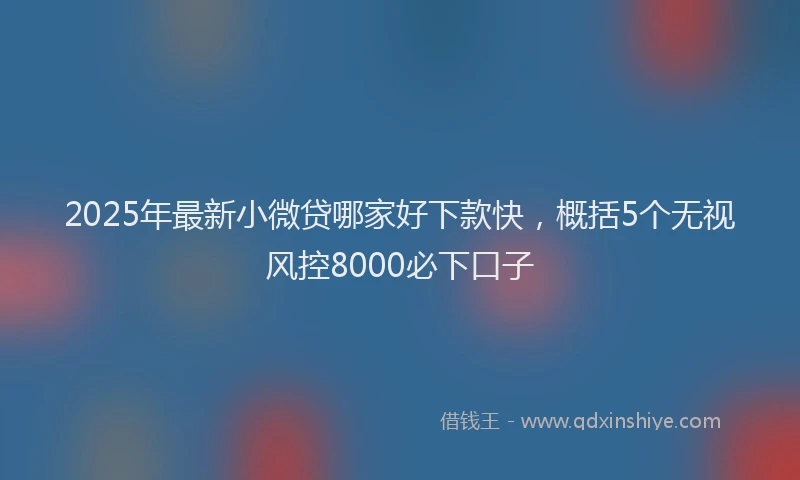 2025年最新小微贷哪家好下款快，概括5个无视风控8000必下口子