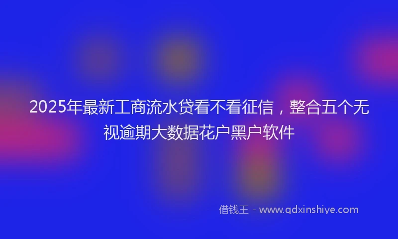2025年最新工商流水贷看不看征信，整合五个无视逾期大数据花户黑户软件