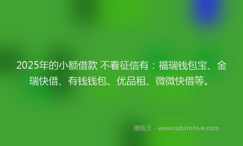 2025年的小额借款 不看征信有：福瑞钱包宝、金瑞快借、有钱钱包、优品租、微微快借等。